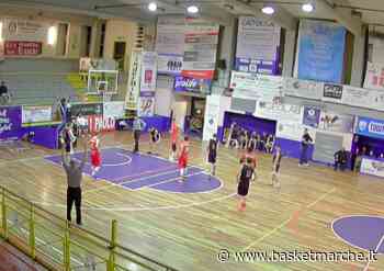 U19 Eccellenza, il Basket Todi vince il derby contro la Pontevecchio Basket - Under 19 Eccellenza Girone Marche-Umbria - Basketmarche.it