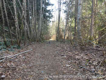 Village of Cumberland putting up new signs in Cumberland Community Forest - My Comox Valley Now