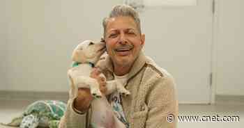 Jeff Goldblum is a self-described 'goofy weatherman' in search of mischief     - CNET