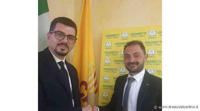 Francesco Goffredo è il nuovo direttore Coldiretti Ascoli-Fermo - il Resto del Carlino