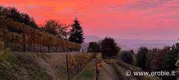 Domenica tra vigne e vini di San Fermo - Orobie