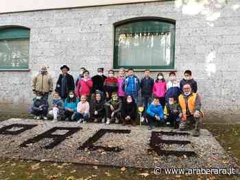 CLUSONE – ABBRACCIAPERTE - Tulipani a scuola per la Pace - Araberara