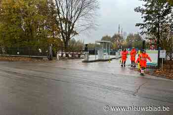 Containerpark Zonhoven even ontruimd na vondst oefenmortier