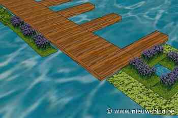 Zilvermeer wil blauwalg op recreatievijvers voorkomen via planteneilanden en oeverherstel