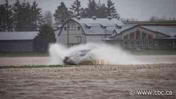 Rains to subside as B.C. assesses damage from floods, mudslides