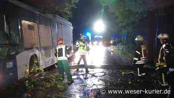 Linienbus kollidiert mit umgestürztem Baum - WESER-KURIER
