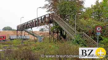 Protest gegen Abriss der alten Ringgleis-Brücke