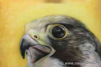 Kunstenares Inge Kennis telt af naar de Dag van de Ambachten