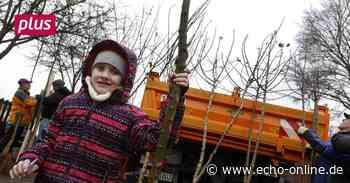 Ein Baum fürs Leben in Neunkirchen - Echo Online
