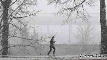 Winds of 100 km/h could batter Calgarians today