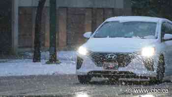 Winter storm hits Saskatoon and other parts of Saskatchewan