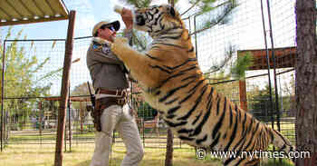 ‘Tiger King’: Where Are They Now?