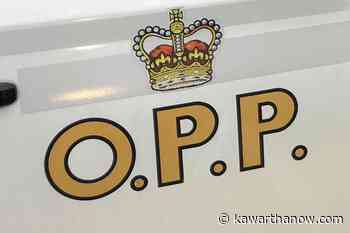 Police investigating discovery of human remains near Bancroft - kawarthaNOW.com