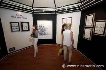 A Antibes, ces deux musées baissent le prix d'entrée pour la fin des expositions