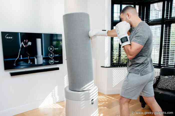 Boxx smart freestanding punch bag takes your workout to the next level