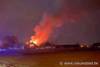 Boerderij staat in lichterlaaie in Ophoven