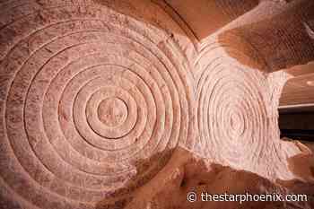 Saskatchewan's potash industry poised for growth in 2022