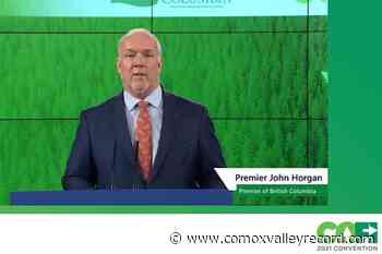 Timber buy-back, redistribution in latest BC forest overhaul – Comox Valley Record - Comox Valley Record