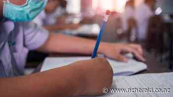 Covid 19 coronavirus: Start testing NZ classrooms for virus- US expert - New Zealand Herald