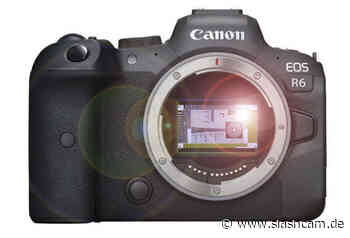 Neue Firmware für Canon EOS R5, R6 und 1D X Mark III angekündigt - slashCAM