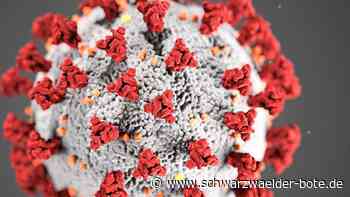Coronavirus - 129 Neuinfektionen im Landkreis Calw - Schwarzwälder Bote