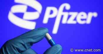 Pfizer asks FDA to authorize its COVID pill treatment     - CNET