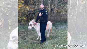 Donkey’s social distancing efforts thwarted by Dawson County deputy - WSB Atlanta