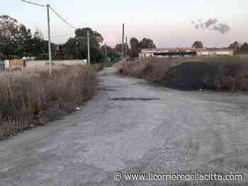 Ardea, blitz all’alba della Guardia di Finanza: scoperta vasta piantagione di marijuana - Il Corriere della Città