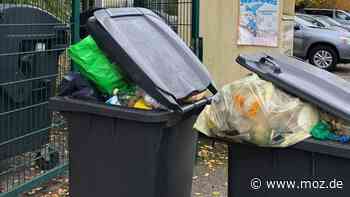 Corona und Abfall: Immer mehr Müll zwischen Rathenow und Falkensee - Umweltamt plädiert für höhere Abfallgebühren und Mindestentleerung - moz.de