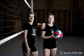 Wevoc Wellen doet gouden zaak - Het Belang van Limburg Mobile - Het Belang van Limburg