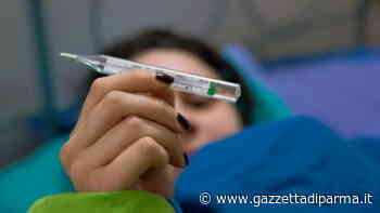 Primo isolamento a Parma del virus dell'influenza - Gazzetta di Parma