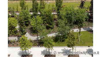 KilometroVerdeParma: alleanza educativa con Giocampus Green - Gazzetta di Parma