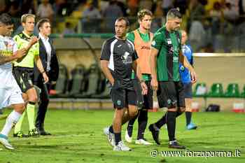 Colucci: "Il Parma tornerà ai vertici" - Forza Parma