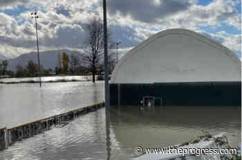 Abbotsford Cardinals launch GoFundMe after devastating damage from flood – Chilliwack Progress - Chilliwack Progress