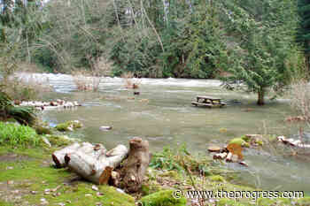 Diminishing risk of new flooding on Alouette, says BC Hydro – Chilliwack Progress - Chilliwack Progress