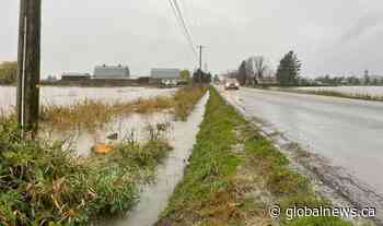 Community of Yarrow in Chilliwack evacuated due to flooding risk - Globalnews.ca