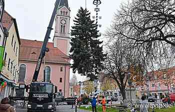 Bauhof stellt Christbaum vor dem Rathaus auf - Passauer Neue Presse
