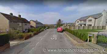 Dead crows and magpies found in Ribble Valley gardens after being shot with air rifles