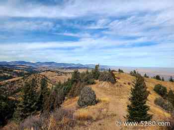Hikes We Like: Mt. Morrison South Ridge Trail - 5280 - 5280 | The Denver Magazine