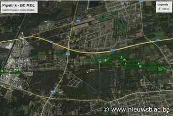 NMP rooit bomen en struiken boven pijpleiding in Gompel, Rauw en Wezel