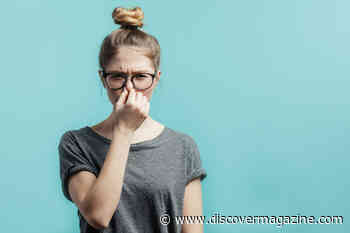 What Can Your Farts Tell You About Your Health?