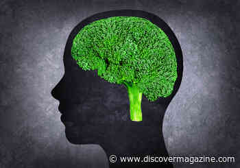 6 Brain Boosting Foods You Should Have on Your Plate