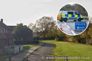 Teenager reports being raped near a Harlow play area