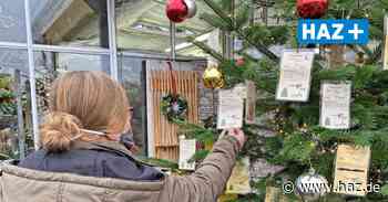 Hemmingen: Weihnachts-Wunschbaum-Aktion beginnt - Hannoversche Allgemeine