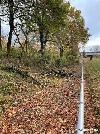 SV Wilkenburg: Vereinsmitglieder machen Sportanlage „winterfest“ - Hemmingen - myheimat.de - myheimat.de
