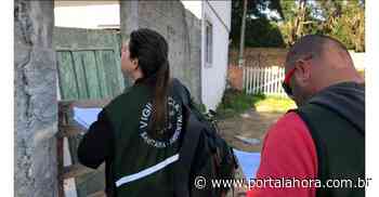 Imbituba se prepara para o "Dia D" de mobilização contra o Aedes aegypti - Portal AHora