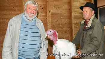 Tiere im Mittelpunkt: Kanarienvögel als bunte Farbtupfer