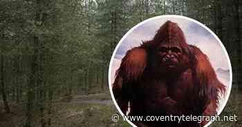Bigfoot hunter claims Yeti is 30 miles from Coventry after footprints and clawmarks found - Coventry Live