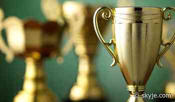 How To Choose The Best Trophy Price Online?