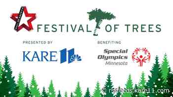 Check out Mall of America’s Festival of Trees benefiting Special Olympics Minnesota